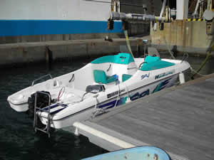 YAMAHA SRV20-2